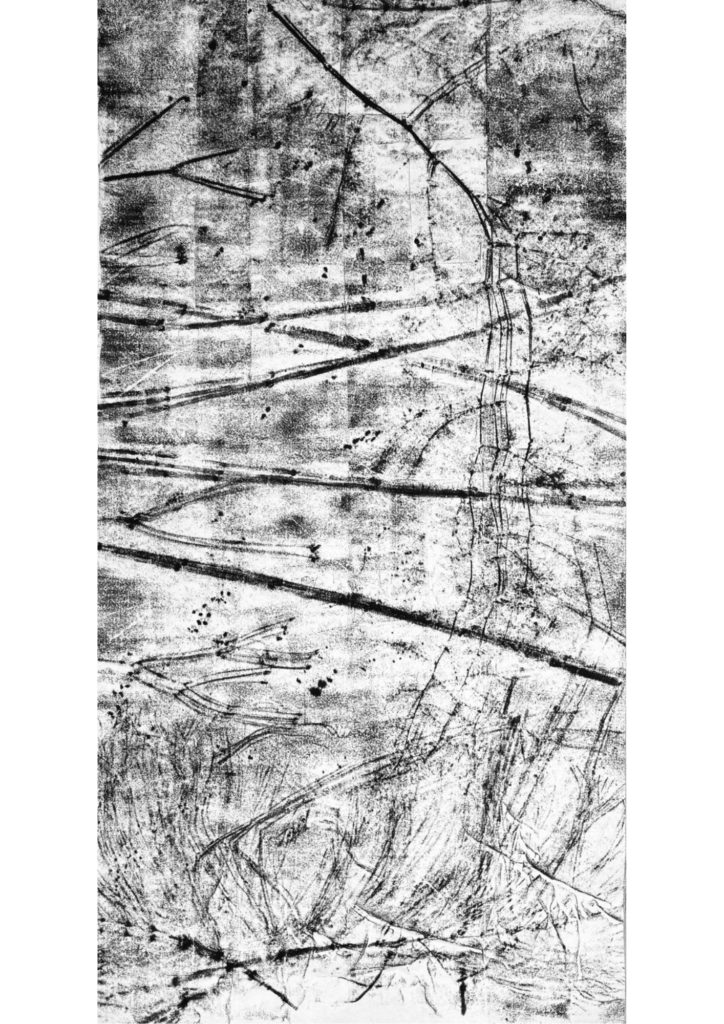 Paysage empreint-vertical 18