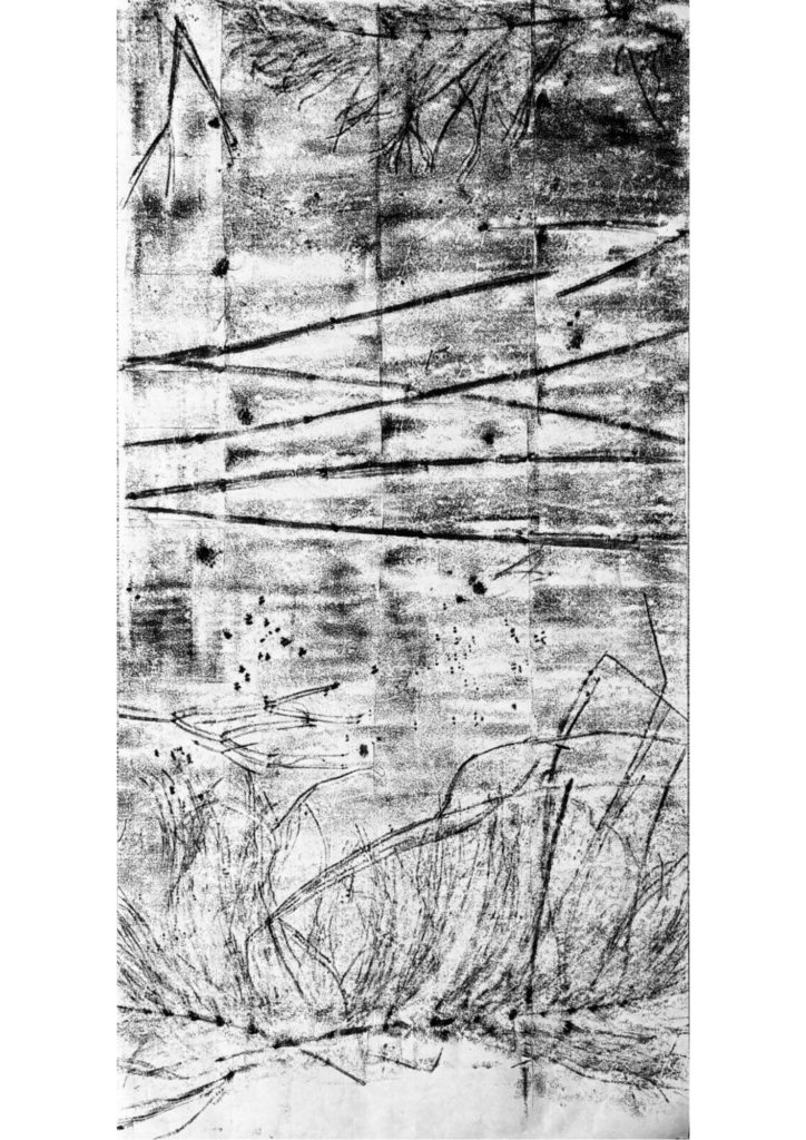 Paysage empreint-vertical 19